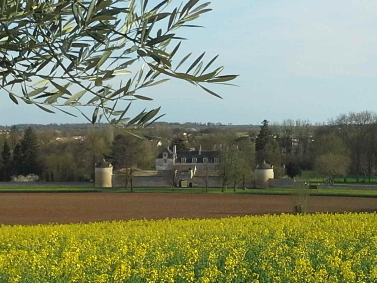 Au Grain D'Orge Echire Exterior foto